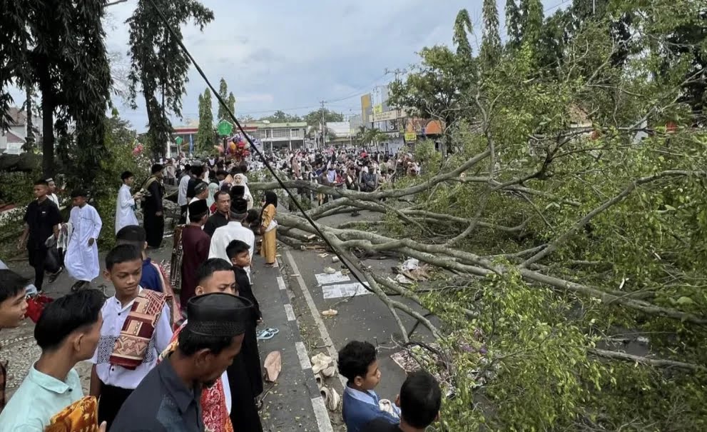 Kemensos Data Korban Pohon Tumbang Saat Salat Id di Pemalang, Siapkan Santunan